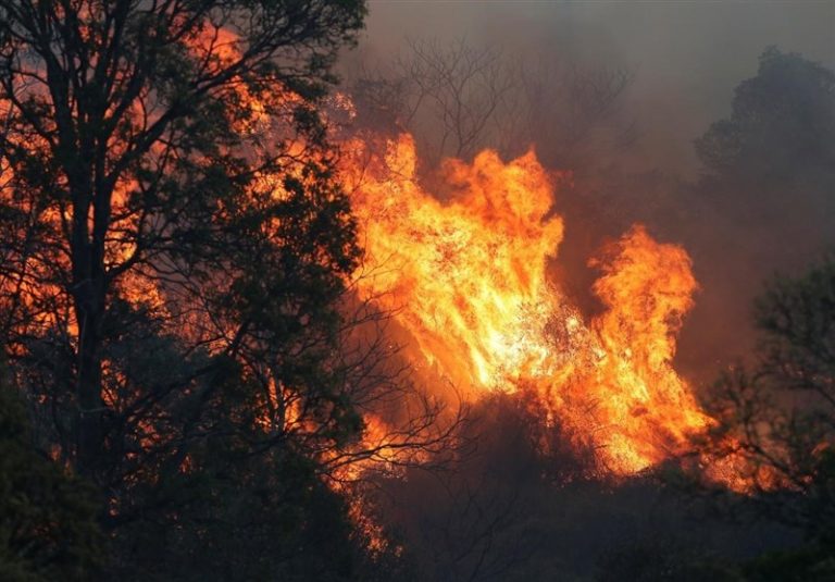 Bushfires at Christmas time – an Australian phenomenon